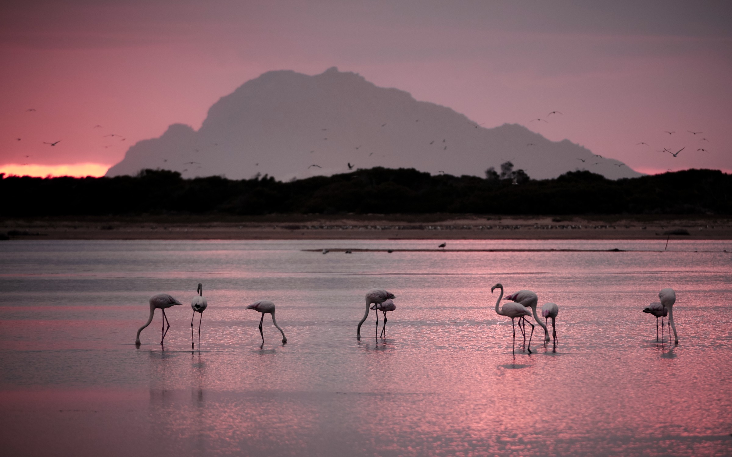 Nature Reserve Kleinmond Rooisand