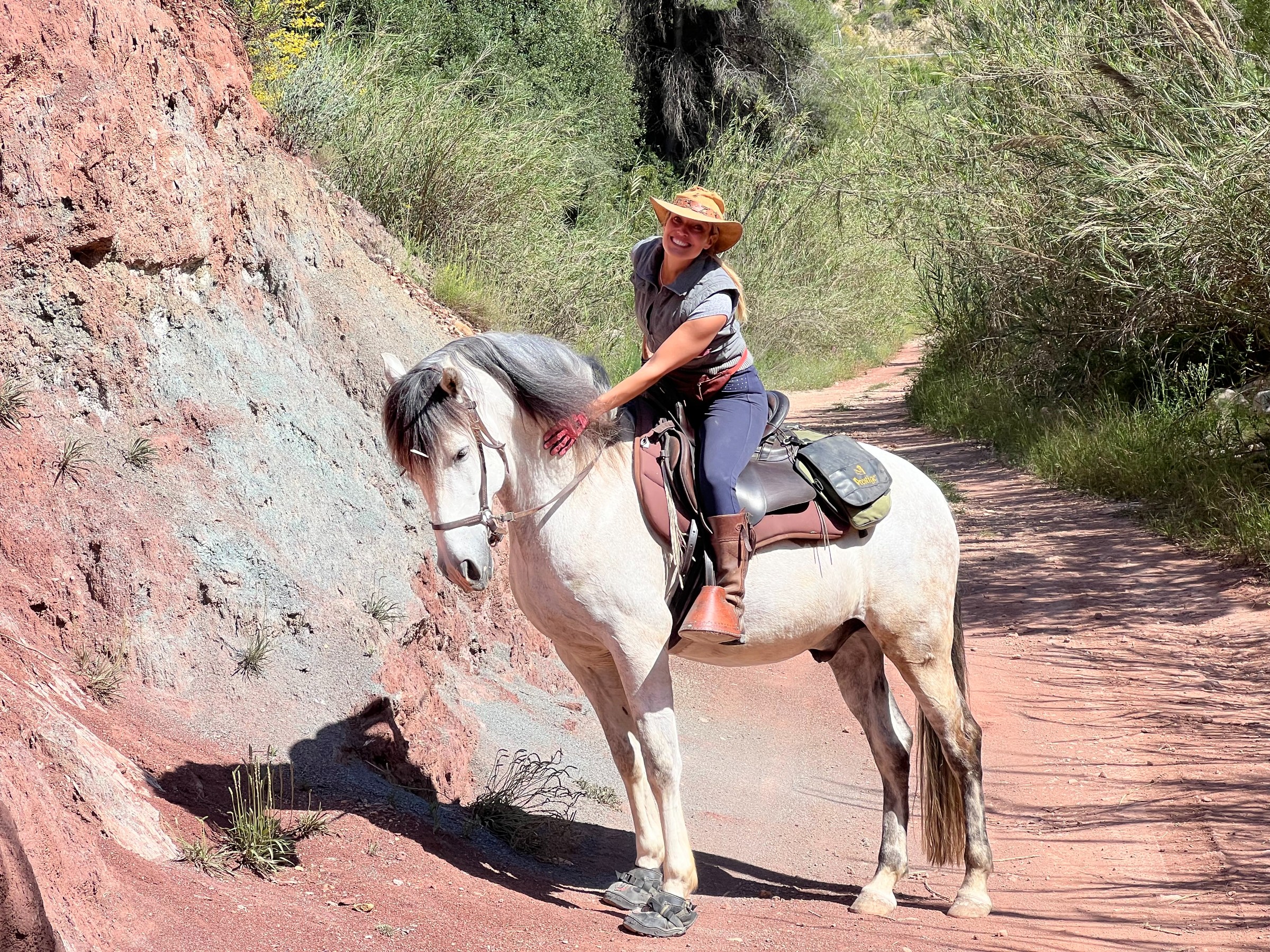 Horse-riding Activities Kleinmond Hermanus