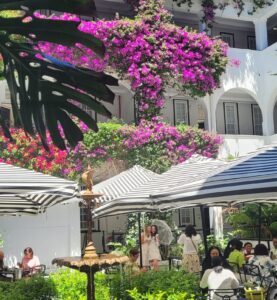 Cape Town Boutique Hotel Luxury Acomodation Western Cape