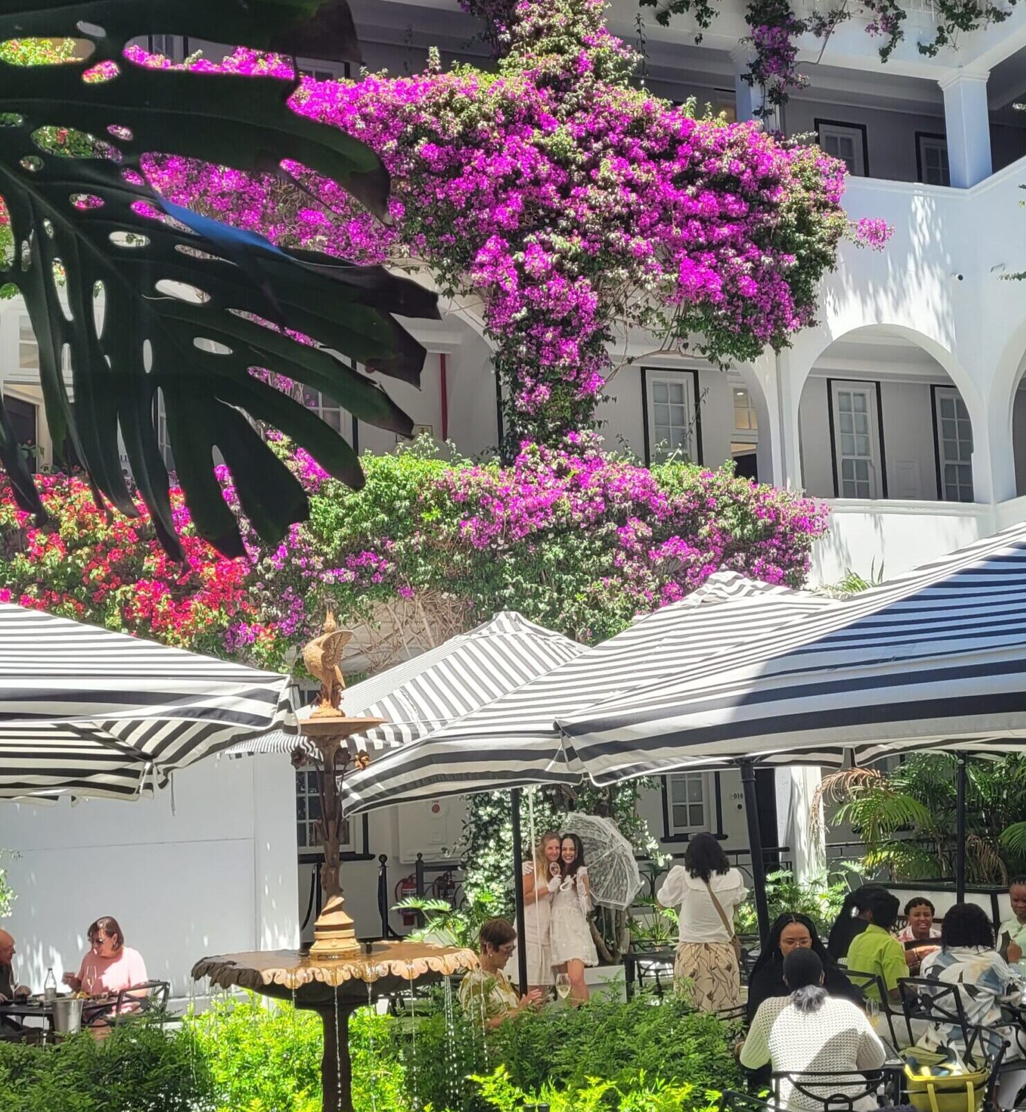 Cape Town Boutique Hotel Tailored Itineraries Western Cape