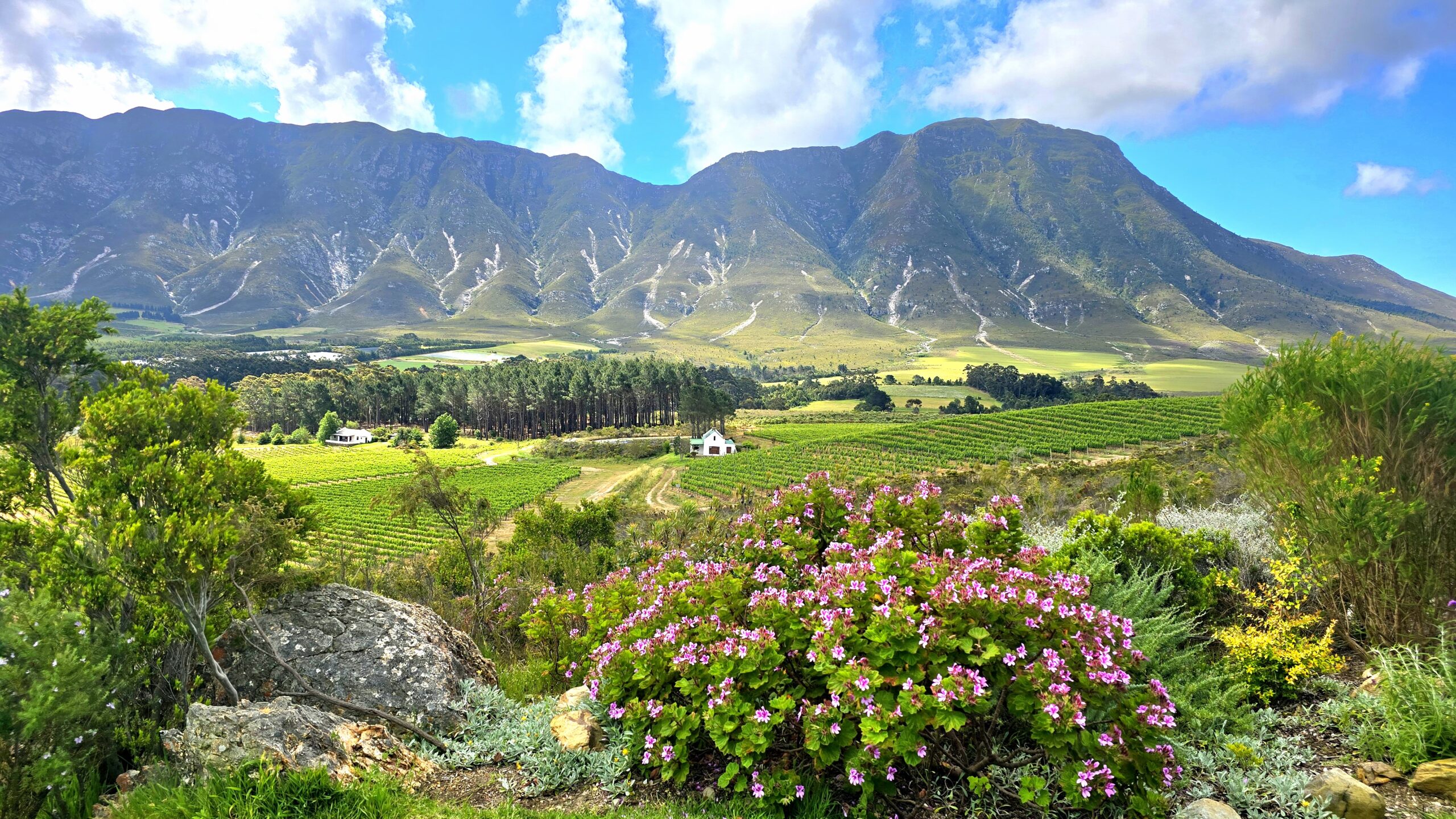 Hemel en Aarde Vallei Hermanus Luxury Guesthouse Kleinmond