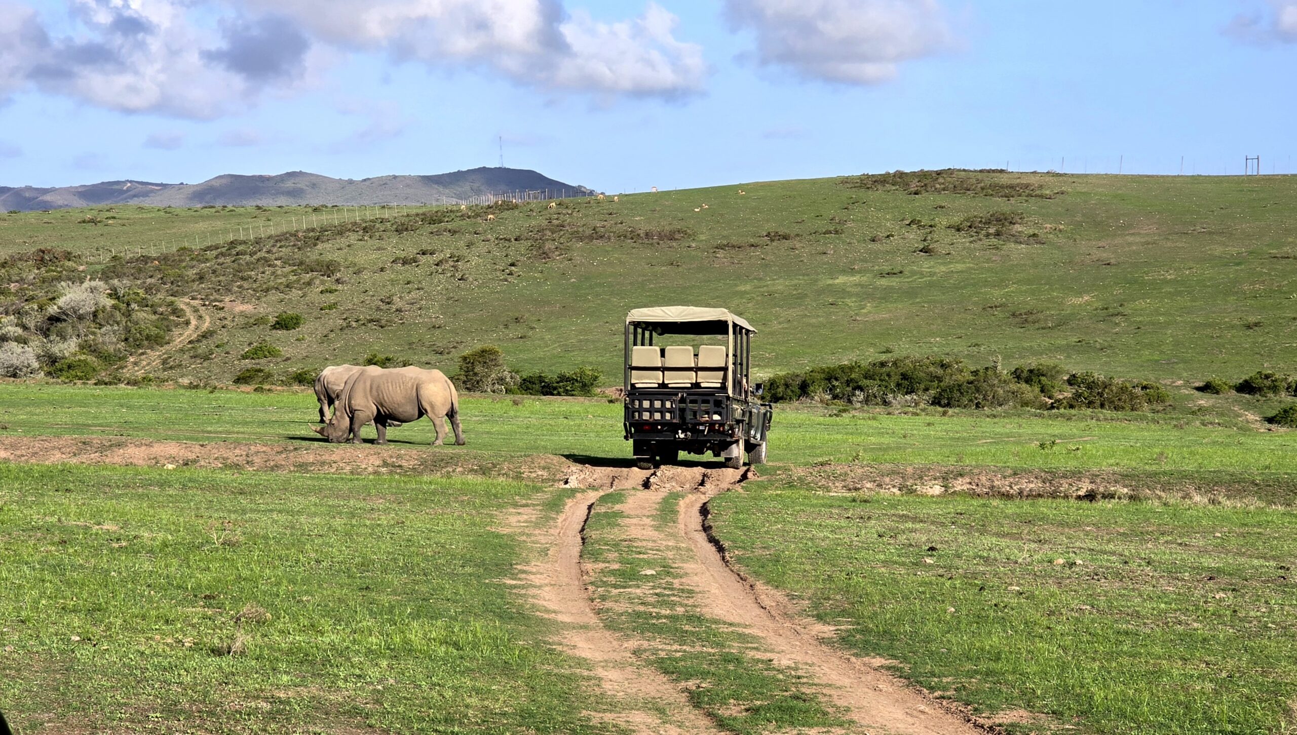 Safari Game Drive Luxury Guesthouse Kleinmond