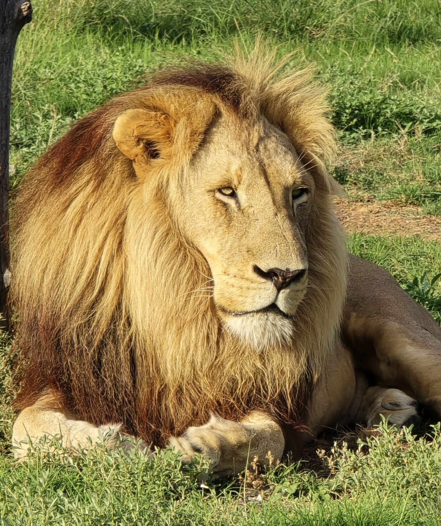 Safari Garden Route Self-Drive Tailored Itineraries Western Cape