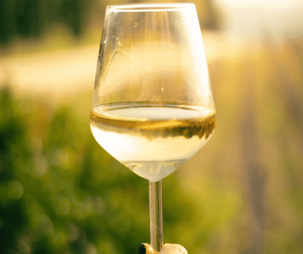 Wine Tasting Wine Tasting Helmel en Aarde Wineries Westeran Cape