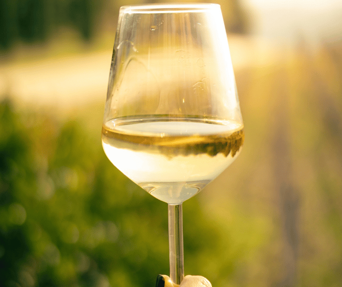 Wine Tasting Wine Tasting Helmel en Aarde Wineries Westeran Cape